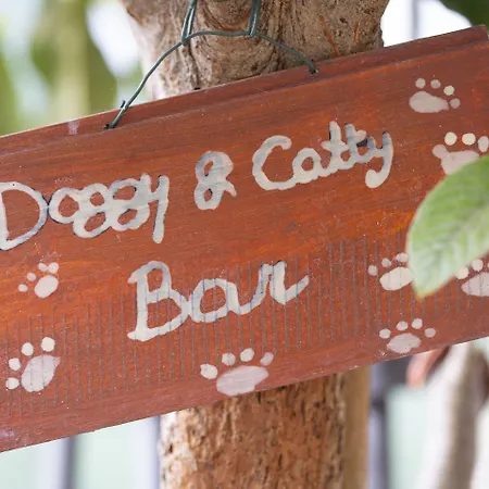 Al Guado Di Assisi Bed & Breakfast