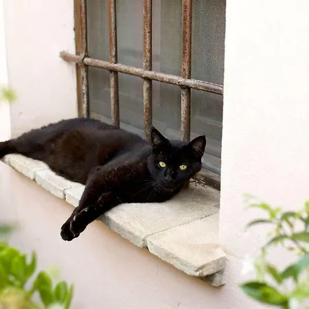 Al Guado Di Assisi 3* Bastia Umbra