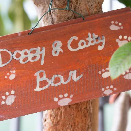 Al Guado Di Assisi Bed & Breakfast